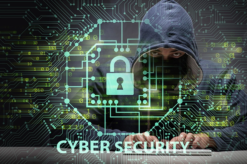 Cyber Liability Insurance for Startups: Why It Matters in Ontario