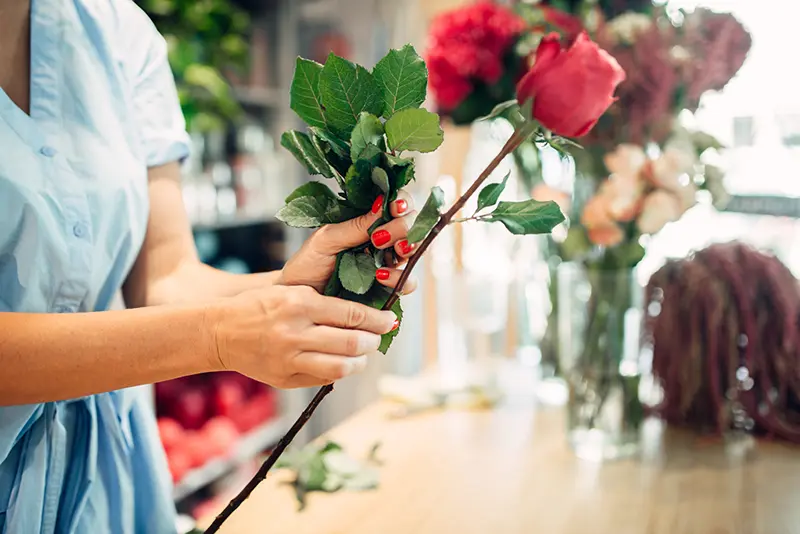 Why Small Businesses Need Big Coverage